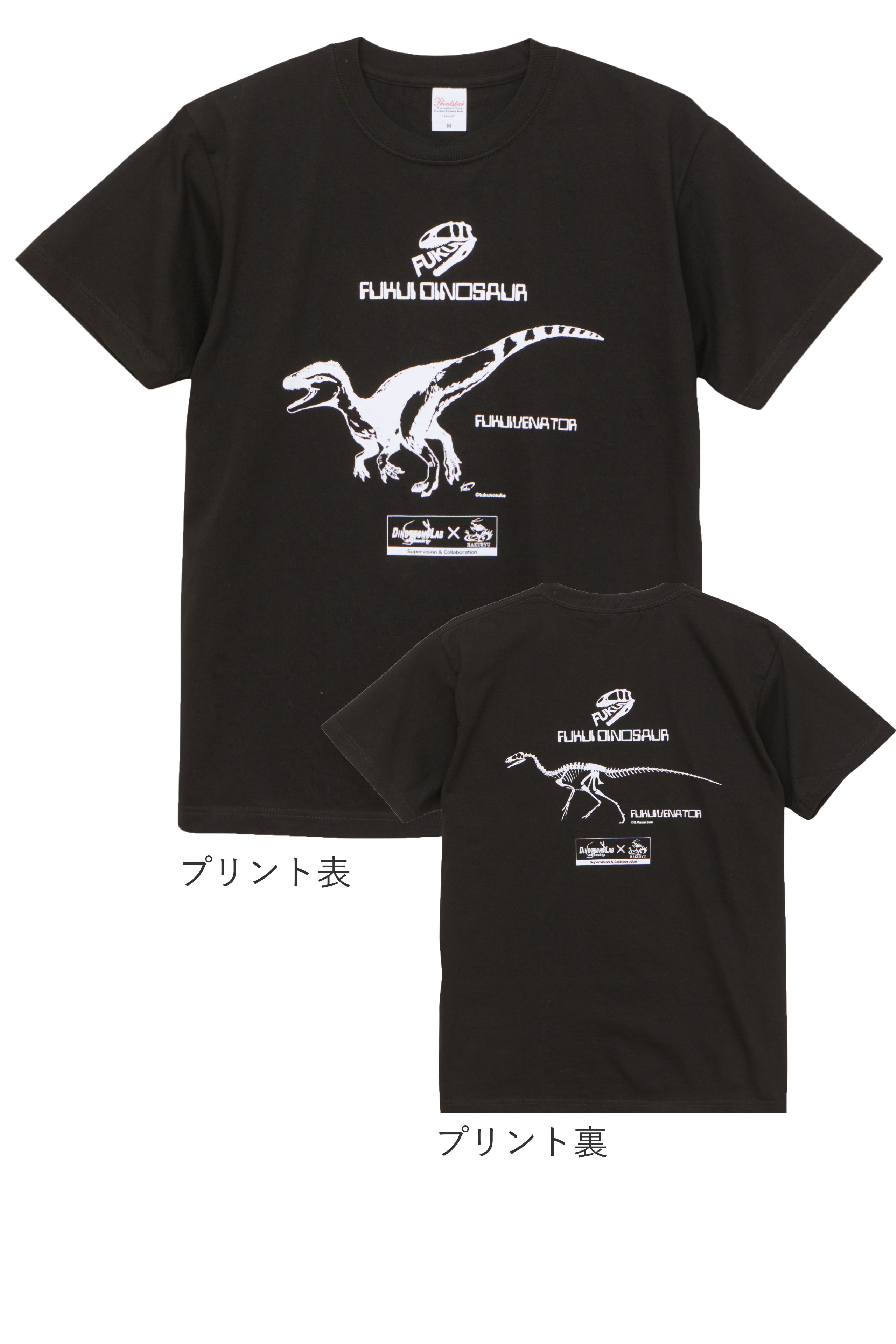 FUKUIVENATOR-T